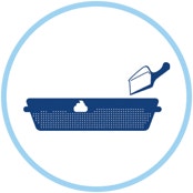 Every day, remove the solid faeces. The litter will absorb the liquids.