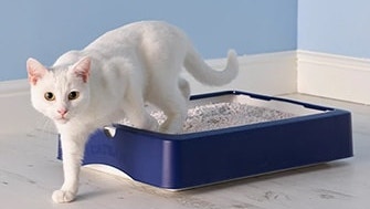 Why does my cat litter smell so bad?