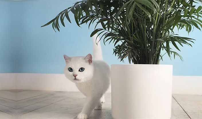 Product being poured out of the packaging 