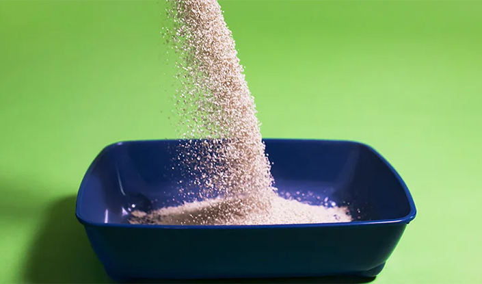 Birdseye view of product in a blue litter tray